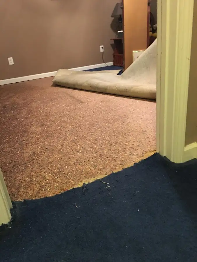 Carpet pad removal revealing water damage during Drying & Dehumidification in Loudoun Valley Estates