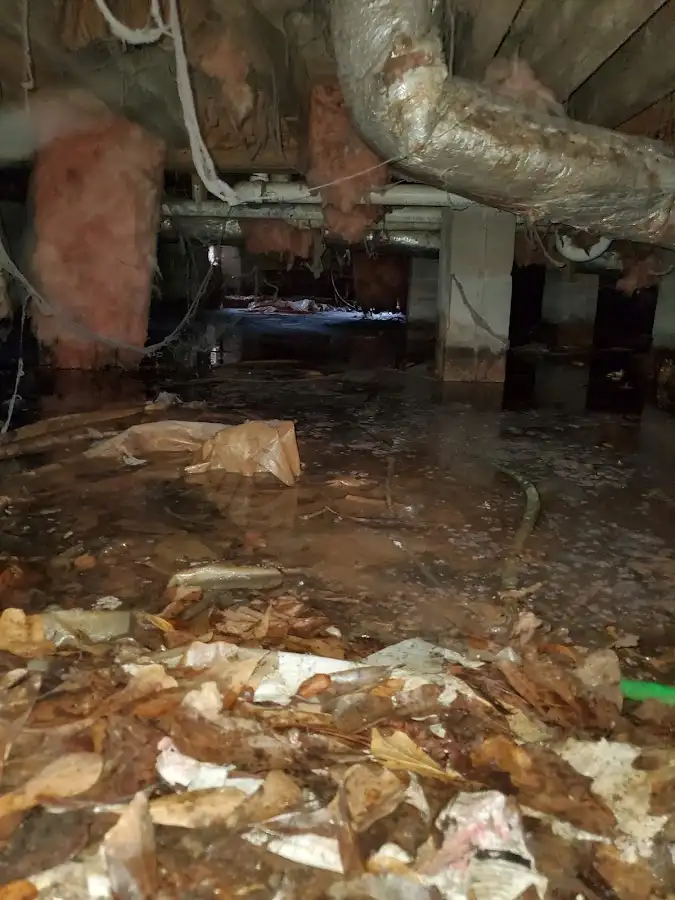Crawl space flood assessment for Commercial Water Damage Restoration in Loudoun Valley Estates