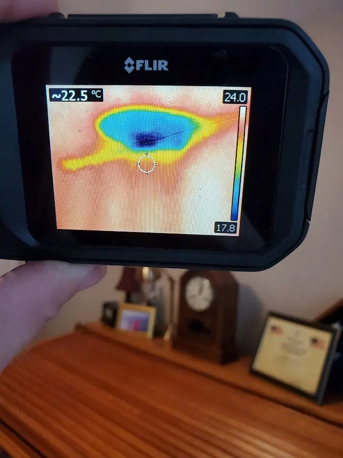 Thermal imaging inspection for water damage in Loudoun Valley Estates